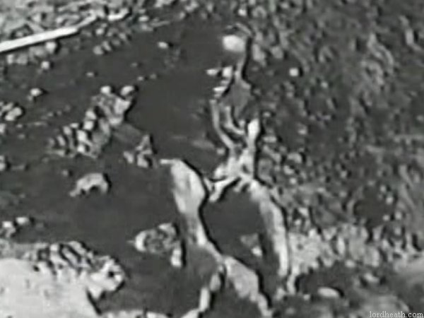 Allen Hoskins in Jubilo, Jr. (1924)