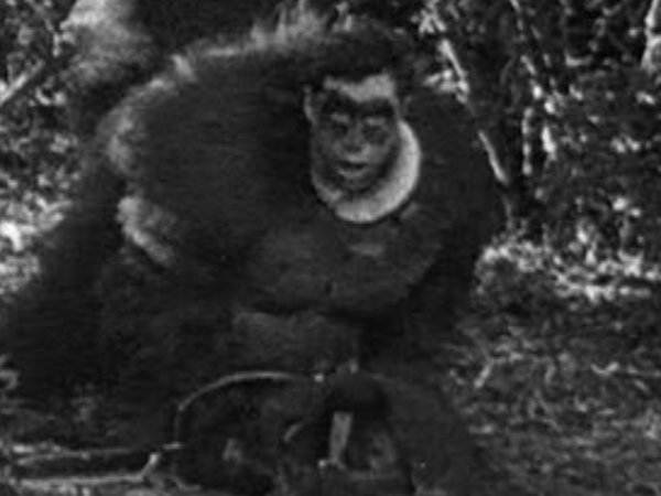 Charlie Hall in Bear Shooters (1930)