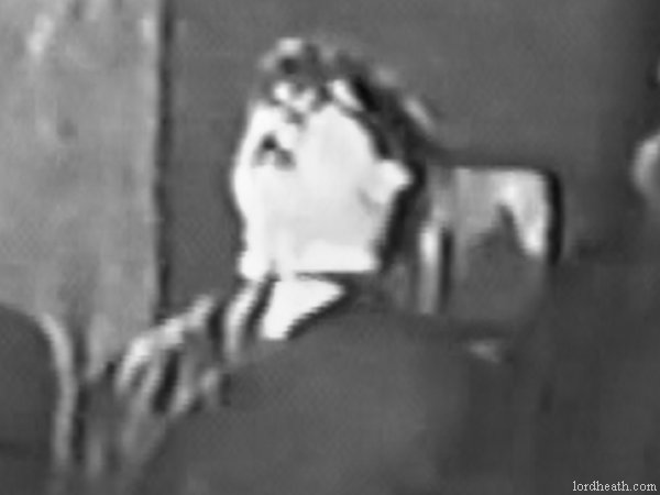 Tyler Brooke in Wise Guys Prefer Brunettes (1926)