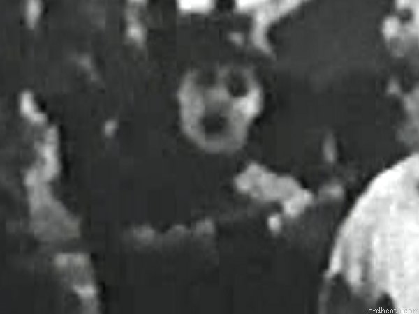 William Gillespie in On Location (1921)